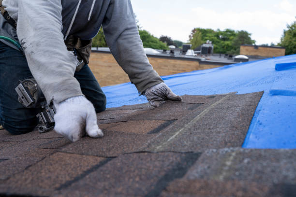 Best Roof Gutter Cleaning  in Pilot Mountain, NC